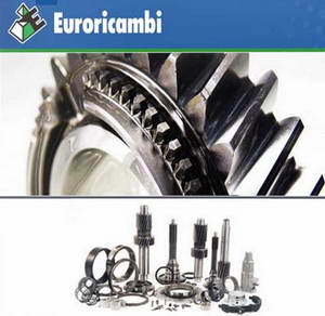 Каталог неоригинальных запасных частей производства Euroricambi 2009